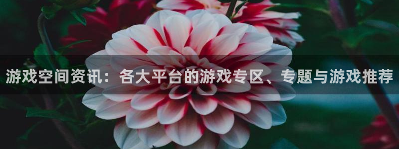 优贝娱乐下载：游戏空间资讯：各大平台的游戏专区、专题与游戏推