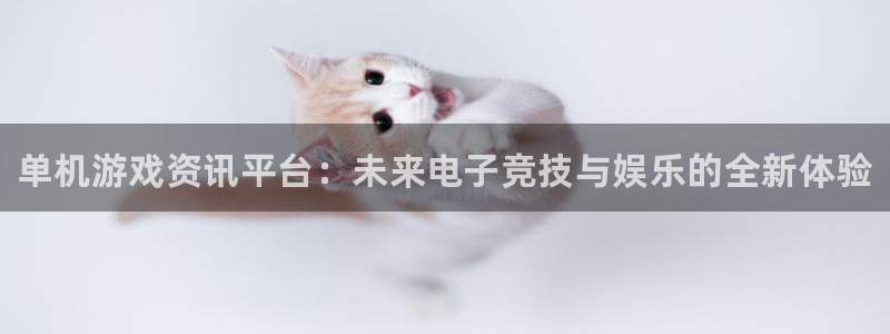 优贝娱乐2首页登录：单机游戏资讯平台：未来电子竞技与娱乐的全