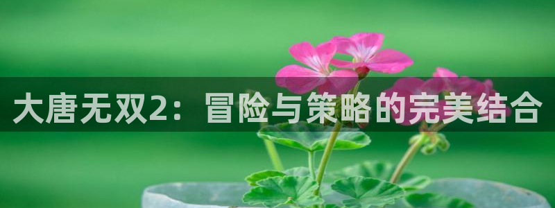 优贝娱乐在线登录：大唐无双2：冒险与策略的完美结合