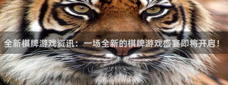 优贝娱乐注册账号：全新棋牌游戏资讯：一场全新的棋牌游戏盛宴即