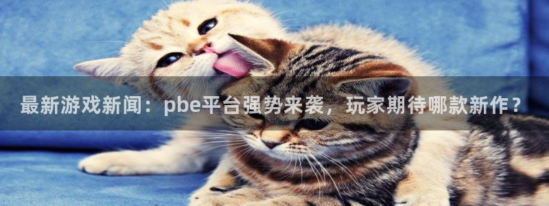 优贝娱乐登陆地址：最新游戏新闻：pbe平台强势来袭，玩家期待