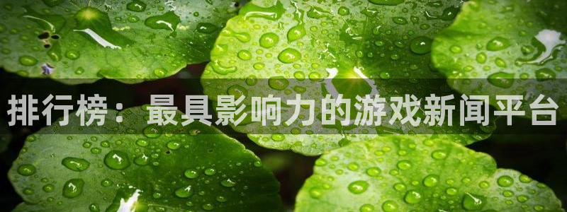 优贝娱乐登录网址：排行榜：最具影响力的游戏新闻平台