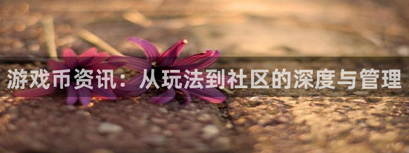 优贝娱乐平台登录线路：游戏币资讯：从玩法到社区的深度与管理