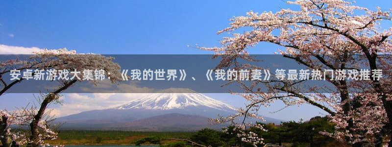 优贝娱乐平台负责人：安卓新游戏大集锦：《我的世界》、《我的前