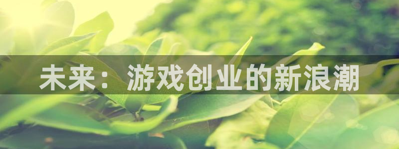 优贝娱乐登陆地址：未来：游戏创业的新浪潮