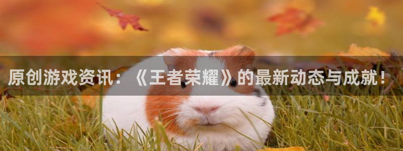 优贝娱乐平台官网入口：原创游戏资讯：《王者荣耀》的最新动态与